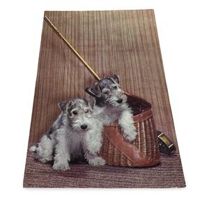 Vintage Plastichrome Terrier Puppies Fishing Creel Postcard Unused New Gray 60s